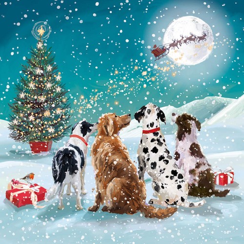 Charity christmas cards pack - charity,