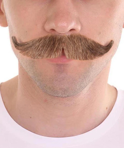 Men brown costume - men’s,