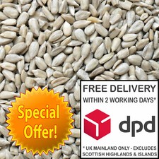 25kg Sunflower Hearts -  2 x 12.55kg Premium Bakery Grade Kernels Wild Bird Food