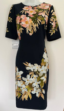 HOBBS - Dress BNWT Cost £159