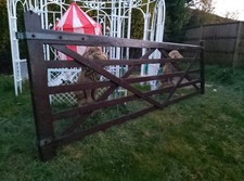 12ft Driveway Gate Iroko Five