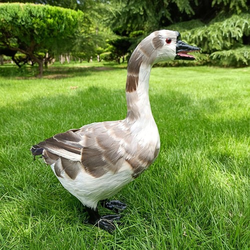 Imitation realistic goose - imitation,