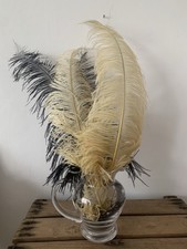 4 Vintage Ostrich Plumes