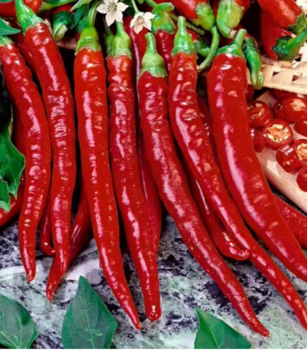 Super hot chilli pepper red - super,