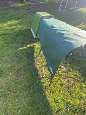 omlet guinea pig and rabbit