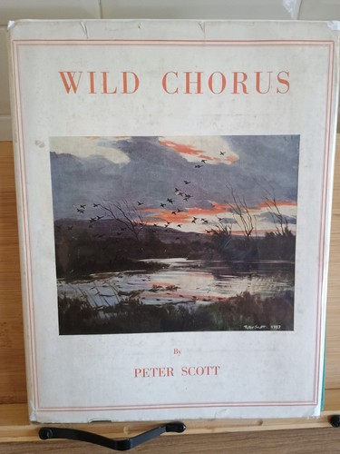 Wild chorus peter - by,