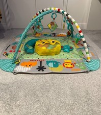 Tiny Love Activity Gym | 0-36
