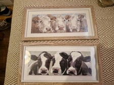 Matching Cow Print Framed Pictures, Painted By Adelene Fletcher.