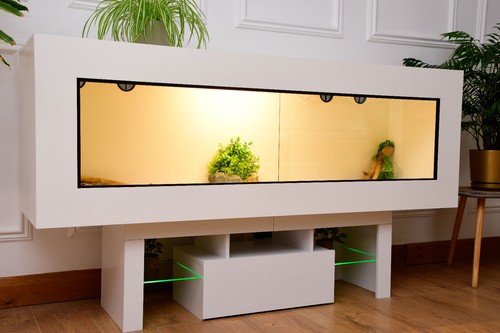 6ft 24 modern reptile - 24",