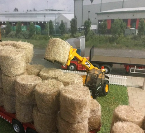 Hay bales round - hay,