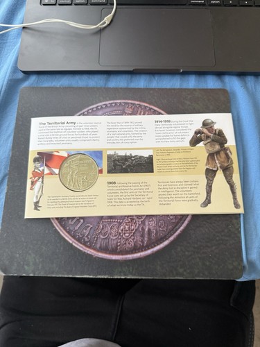 100 years territorial army - years,