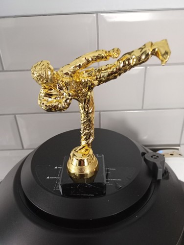 Joblot karate trophies - x,