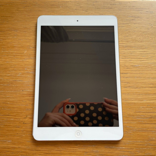 Apple ipad mini - ipad, 7.9in