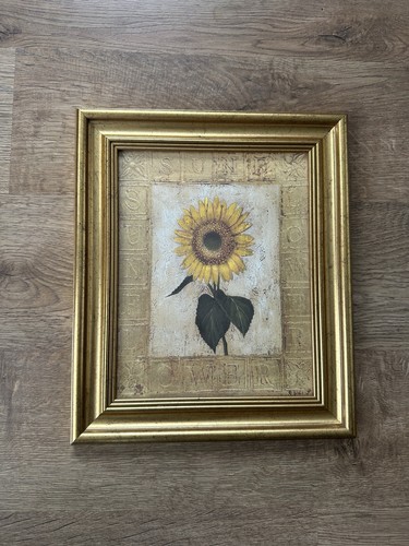 Shelley hely sunflower - shelley, 'sunflower'