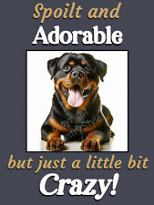 Rottweiler pet dog Funny