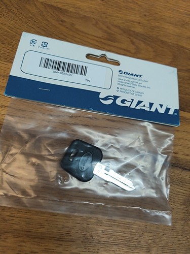 Giant ebike key - ebike, blank