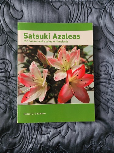 Satsuki azalea robert z - azalea,
