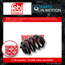 2x Coil Springs (Pair Set)