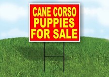 Cane Corso PUPPIES FOR SALE