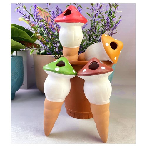 Pack mushroom plant watering - mushroom,