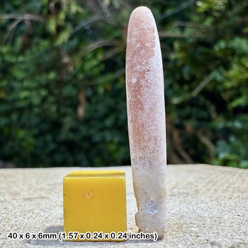 British chalk belemnite - chalk,