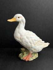 The Leonardo Collection