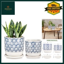 Elegant Blue Ceramic Plant
