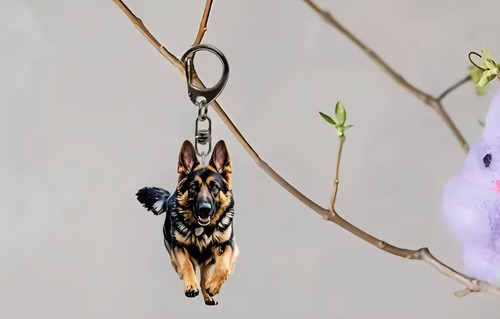 Lovely german shepherd running - lovely,