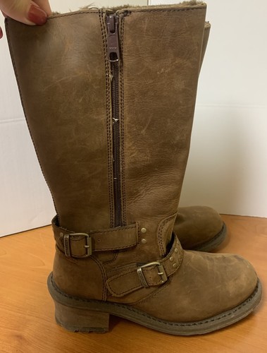 Caterpillar florencia - caterpillar,