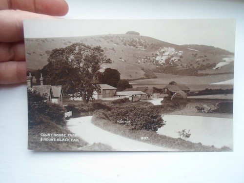 Court house farm mount black - house,