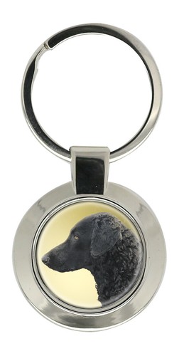 Curly coated retriever key - curly,