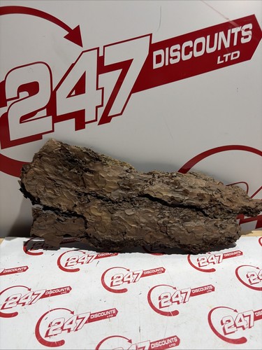 Natural wood log slice tree - log,