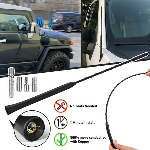 Car beesting bee sting - 11''car,