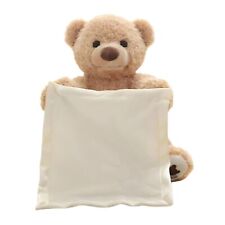 Peek a boo Teddy Bear