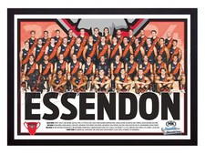Framed 2024 Essendon Bombers