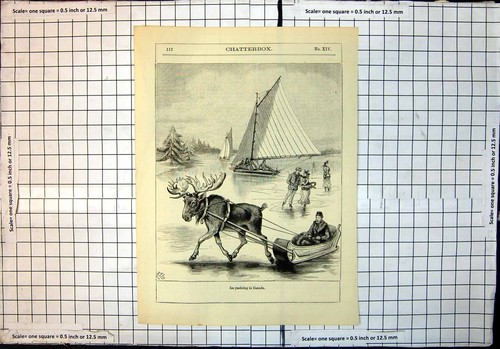 Original old antique print - print, ice