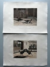 4 Cock Fighting Hand Coloured Aquatints By N Fielding 1853 Pubd R Ackermann