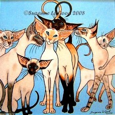 Siamese Cat print mounted