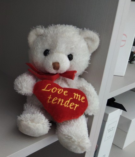 Small teddy bear - ,