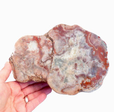 Dulcote Agate XL Geode Potato Stone Somerset UK Specimen 21cm 3kg Semi Polished