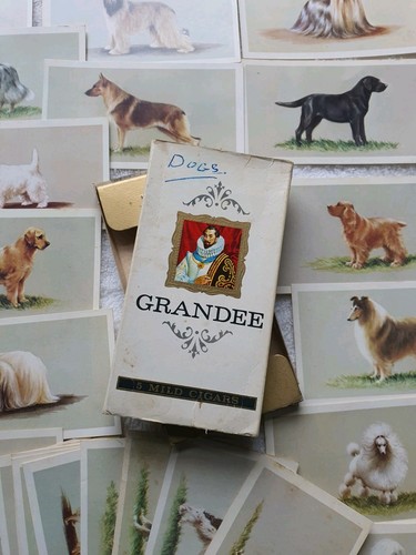 Grandee dog cigar - dog,