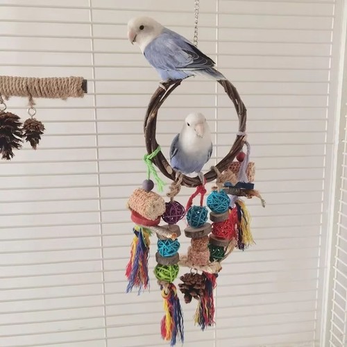 Budgie chew toys canary for - chew,