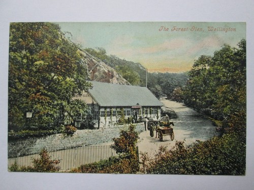 The forest glen wellington - the,
