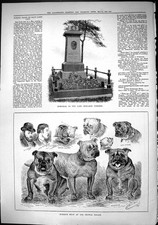 Old 1884 Memorial Benjamin