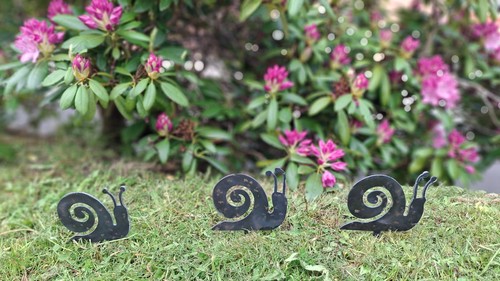 Snail plant pot - snail, stake