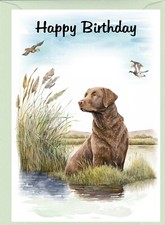 Chesapeake Bay Retriever