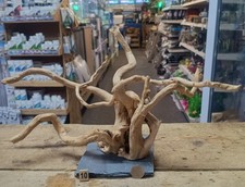 Red Moor Wood Root on Slate