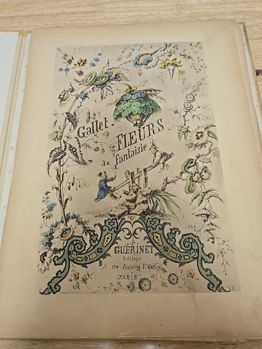 Vintage french illustrated - vintage,