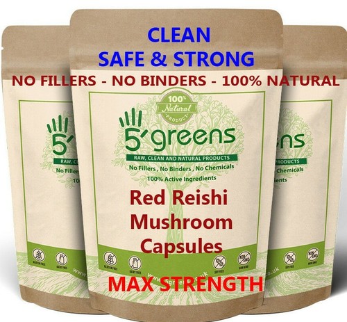 Reishi mushroom dual extract - mushroom,