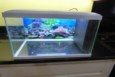 aquarium fish tank used